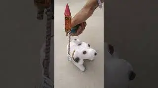 RC white dog toy testing
