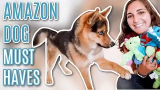 AMAZON MUST HAVES FOR DOGS AND PUPPIES! With Links!