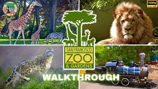 San Francisco CA. Zoo - The most interactive Zoo in the Bay Area!