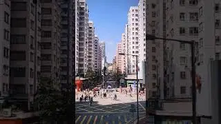 黄埔花园 Whampoa Garden Afternoon 20221120 #hk #whampoa  #afternoon #beautiful #香港 #黄埔