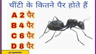 gk questions hindi //gk questions hard,//g k questions history,//g k questions hindi 2023