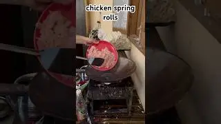 Chicken Spring Rolls Recipe | चिकेन स्प्रिंग रोल रेसिपी | Chicken Spring Rolls | Spring Rolls Recipe