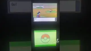 Only took 909 resets! I was in for the long haul. #pokemon #pokemonheartgold #heartgoldsoulsilver
