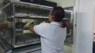 BIB Laboratory video