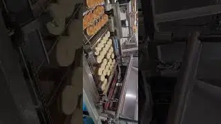 Yufeng Industrial Yeast Raised Donut Production line Makeup line #donuts #doughnut #donutsmp
