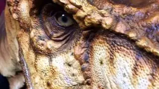 1:5 Scale T-Rex Bust Prototype