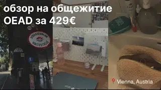 Обзор на общежитие OEAD в Вене 🛏️🧺// room tour Vienna // румтур 