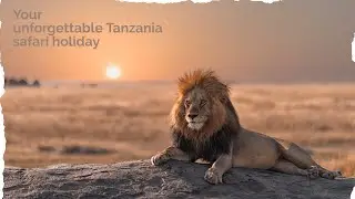 Your unforgettable Tanzania safari holiday. #tanzania #wildlife #safari #africa #tourism