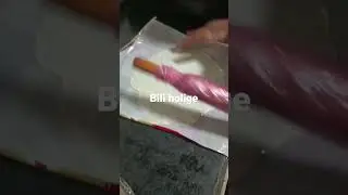 bili holige
