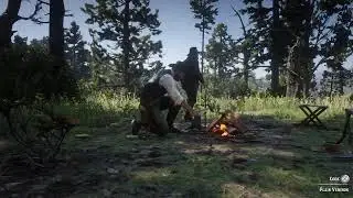 The family-friendly adventures of Arthur and Cinnamon