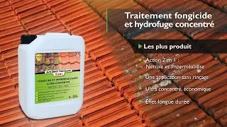 Comment traiter les d&eacute;p&ocirc;ts verts, lichens et champignons ?