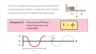 Oscillation Terms and Concepts (Simple Harmonic Motion, Restoring Force, Position vs Time Graphs)
