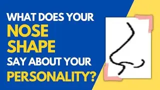 What Does Your Nose Shape Say About Your Personality? | Ziggy Natural