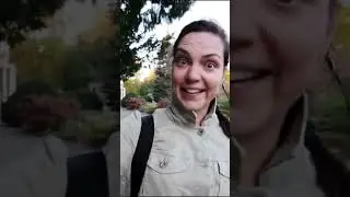 Перевод денег в Россию. Ссылка на сервис в закрепленном комментарии