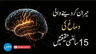 15 Ways to Boost Your Brain Power 🧠 دماغ سے فائدہ اُٹھانے کے پندرہ طریقے #brain #brainboost #mindset