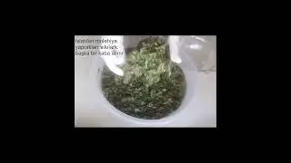 Molehiya Tarifi: Kıbrıs Yemekleri: Tavuklu Molehiya Yemeği #shorts