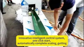Fish killing machine advantage