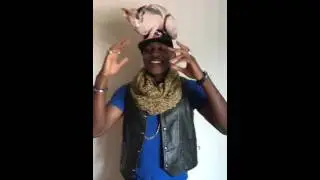 4 favorite songs from Moshow the Cat Rapper