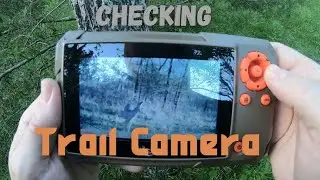 Scouting and placing trail cameras - Preseason Preparation