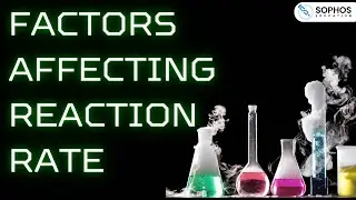 Factors Affecting Reaction Rate