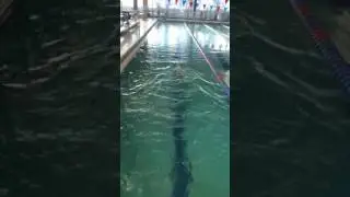 Alanna Grace Swimming