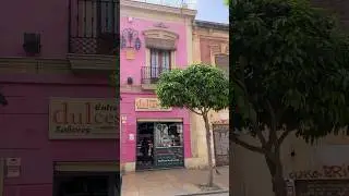 Almeria city visit. Vegan food finds. #veganalmeria #veganspain #veganholidays