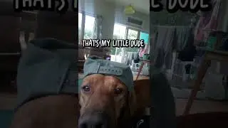 this my little dogy dude