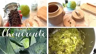 Fermentation : la choucroute dans des pots en grès à joint hydraulique