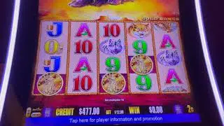 Buffalo Gold Collection - High Limit Slot Play
