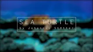 Bodypaint Illusion - Sea Turtle by Johannes St&ouml;tter