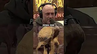 Joe Rogan Reacts to Guest Who Ate Woolly Mammoth