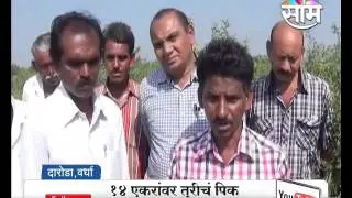 #Agrowon: Success Story of Dilip Pone of Tur Farming in Daroda, Wardha