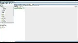 Oracle 32 Insert Data into a Table Using SQL Developer