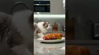My Cat's SECRET Ingredient for Michelin-Star Steak! 🤯ai