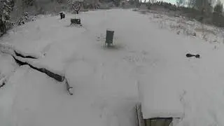 Kā lūsis noķer stirnu kazu. Kazlēns paliek bez mammas. Unikāli kadri