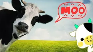 Cow for Kids / Funny Cow Dance  / Farm Animal Name / Interesting Animal