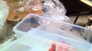 Vision V-70 V-18 python tub unboxing and sorta review