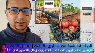الدراسة التقنية لنظام الري الموضعي مقارنة بين الخضروات و التشجير في نظام الري بالتنقيط الجزء 10