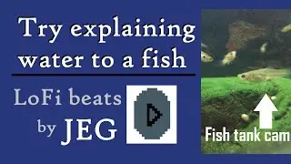 Try Explaining Water to a Fish - LoFi beats by JEG - fish tank cam