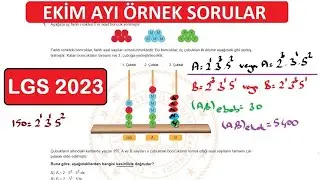 LGS 2023 Ekim Ayı Örnek Sorular ve Çözümleri / LGS Ekim Ayı Örnek Soruları 2023