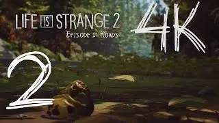 Life Is Strange 2 &lrm;| Episode 1 
