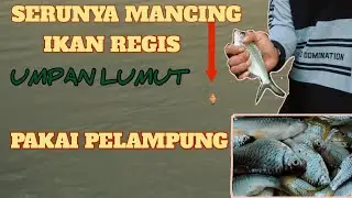 KESERUAN MANCING REGIS UMPAN LUMUT PAKAI PELAMPUNG || Anak Paraji