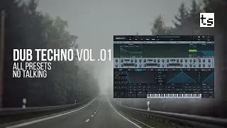 128 Dub Techno Presets (no talking) for Serum 2