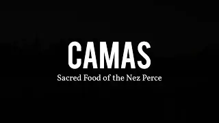 Camas: Sacred Food of the Nez Perce Trailer