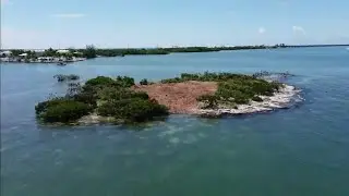 City officials go after private island owners over destruction of nature