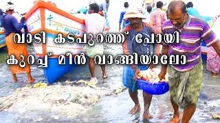 നല്ല മീൻ വാങ്ങാം@ വാടി  കടപ്പുറം /live fish bidding at vadi seashore.