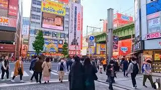 Tokyo City Japan Tour