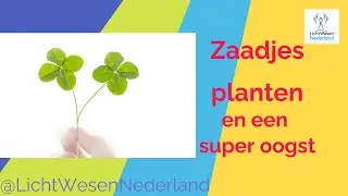 Zaadjes planten en een SUPER OOGST