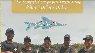 Sawfish Conservation in the Kikori Delta | Piku Biodiversity Network