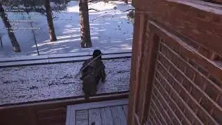 Assassin's Creed Shadows: New Game+